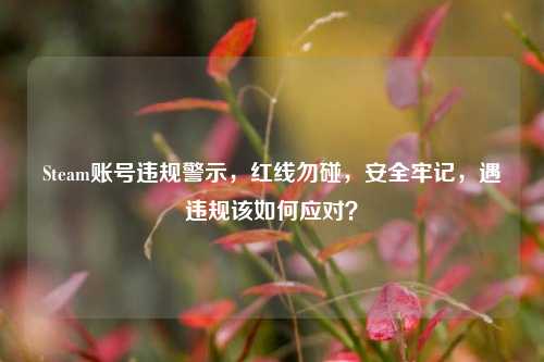 Steam账号违规警示,红线勿碰,安全牢记,遇违规该如何应对?