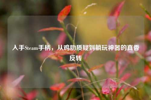 入手Steam手柄,从鸡肋质疑到躺玩神器的真香反转