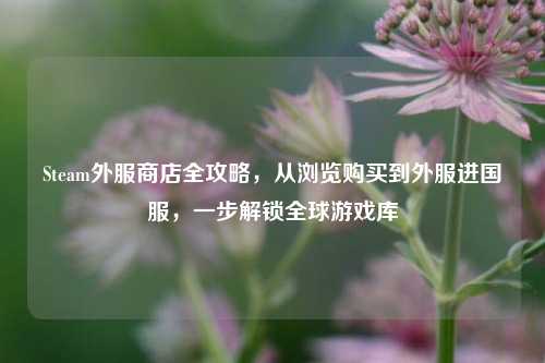 Steam外服商店全攻略,从浏览购买到外服进国服,一步解锁全球游戏库