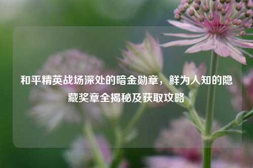 和平精英战场深处的暗金勋章,鲜为人知的隐藏奖章全揭秘及获取攻略