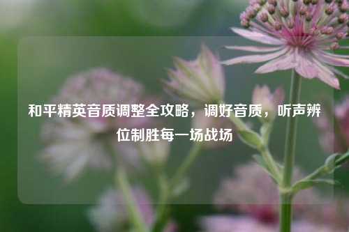 和平精英音质调整全攻略,调好音质,听声辨位制胜每一场战场