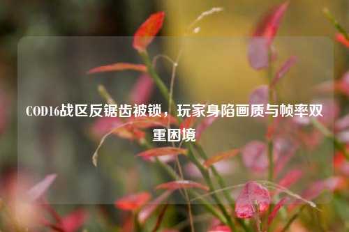 COD16战区反锯齿被锁，玩家身陷画质与帧率双重困境