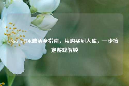 Steam CDK激活全指南,从购买到入库,一步搞定游戏解锁