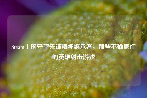 Steam上的守望先锋精神继承者,那些不输原作的英雄射击游戏