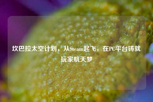 坎巴拉太空计划,从Steam起飞,在PC平台铸就玩家航天梦