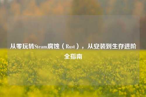 从零玩转Steam腐蚀(Rust),从安装到生存进阶全指南