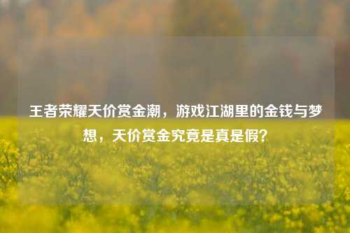 王者荣耀天价赏金潮,游戏江湖里的金钱与梦想,天价赏金究竟是真是假?