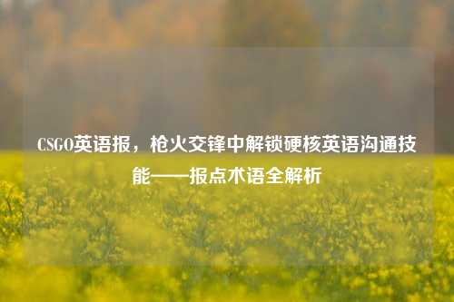 CSGO英语报,枪火交锋中解锁硬核英语沟通技能——报点术语全解析