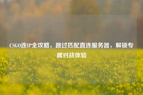 CSGO连IP全攻略，跳过匹配直连服务器，解锁专属对战体验