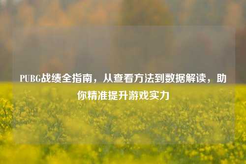 PUBG战绩全指南，从查看方法到数据解读，助你精准提升游戏实力