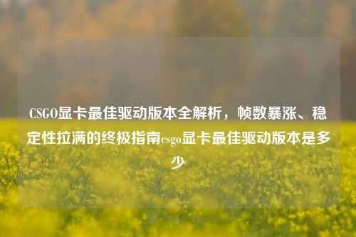 CSGO显卡最佳驱动版本全解析,帧数暴涨、稳定性拉满的终极指南csgo显卡最佳驱动版本是多少