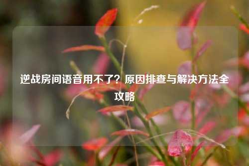 逆战房间语音用不了?原因排查与解决方法全攻略
