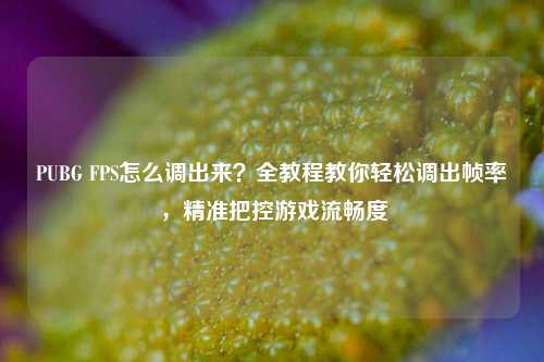 PUBG FPS怎么调出来?全教程教你轻松调出帧率,精准把控游戏流畅度