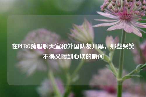 在PUBG跨服聊天室和外国队友开黑,那些哭笑不得又暖到心坎的瞬间
