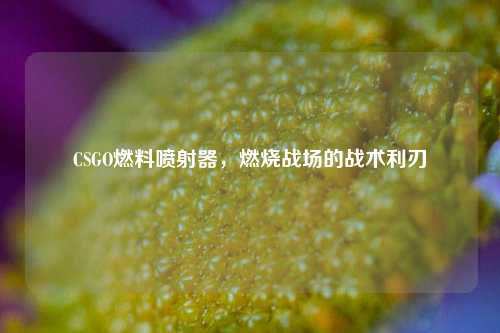 CSGO燃料喷射器,燃烧战场的战术利刃