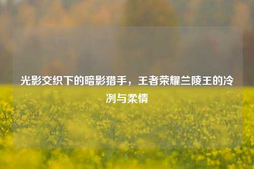 光影交织下的暗影猎手,王者荣耀兰陵王的冷冽与柔情