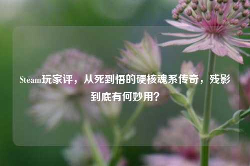 Steam玩家评，从死到悟的硬核魂系传奇，残影到底有何妙用？