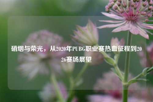 硝烟与荣光,从2020年PUBG职业赛热血征程到2026赛场展望