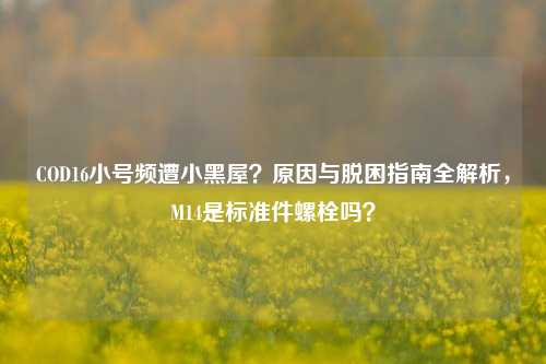 COD16小号频遭小黑屋？原因与脱困指南全解析，M14是标准件螺栓吗？