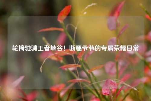 轮椅驰骋王者峡谷!断腿爷爷的专属荣耀日常