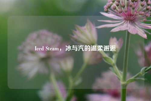 Iced Steam,冰与汽的温柔邂逅