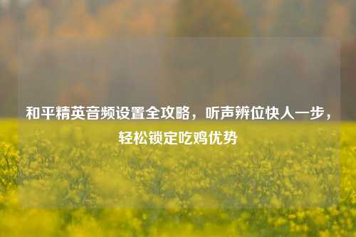 和平精英音频设置全攻略,听声辨位快人一步,轻松锁定吃鸡优势