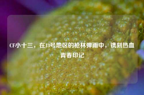 CF小十三,在13号地区的枪林弹雨中,镌刻热血青春印记