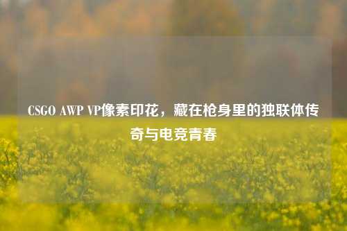 CSGO AWP VP像素印花，藏在枪身里的独联体传奇与电竞青春