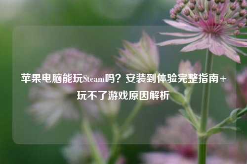 苹果电脑能玩Steam吗?安装到体验完整指南+玩不了游戏原因解析