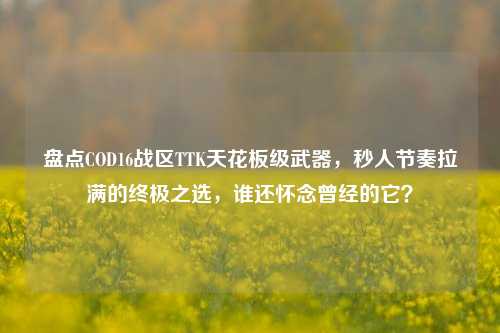 盘点COD16战区TTK天花板级武器,秒人节奏拉满的终极之选,谁还怀念曾经的它?