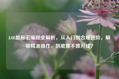 LOL鼠标宏编程全解析，从入门到合规进阶，解锁精准操作，到底算不算开挂？