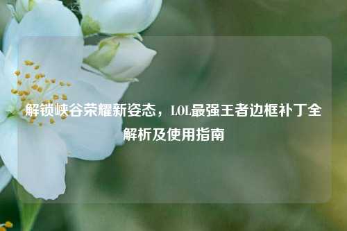 解锁峡谷荣耀新姿态,LOL最强王者边框补丁全解析及使用指南