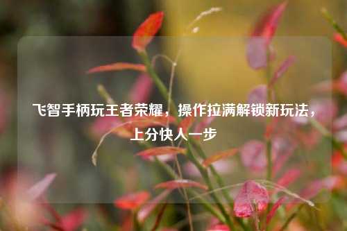 飞智手柄玩王者荣耀,操作拉满解锁新玩法,上分快人一步