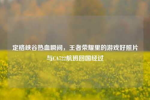 定格峡谷热血瞬间，王者荣耀里的游戏好照片与CA722航班回国经过
