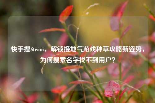 快手搜Steam，解锁接地气游戏种草攻略新姿势，为何搜索名字找不到用户？