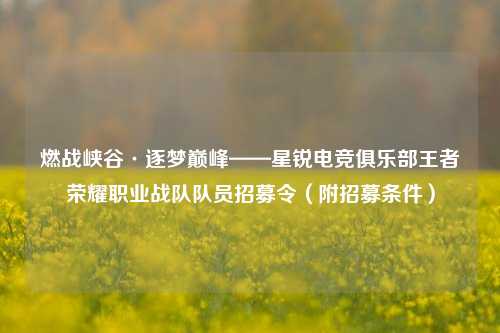 燃战峡谷·逐梦巅峰——星锐电竞俱乐部王者荣耀职业战队队员招募令（附招募条件）