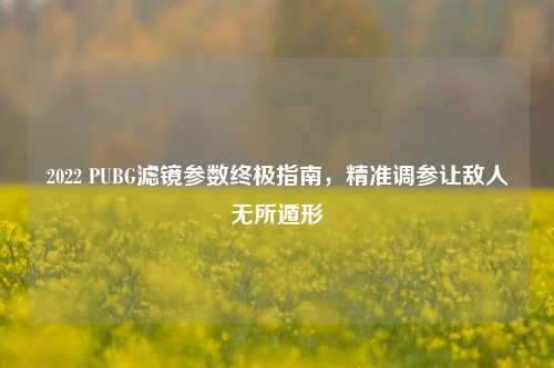 2022 PUBG滤镜参数终极指南,精准调参让敌人无所遁形