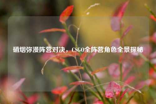 硝烟弥漫阵营对决，CSGO全阵营角色全景探秘