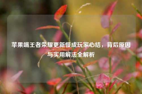 苹果端王者荣耀更新慢成玩家心结,背后原因与实用解法全解析