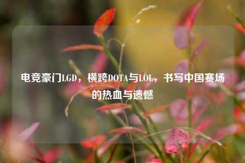电竞豪门LGD，横跨DOTA与LOL，书写中国赛场的热血与遗憾