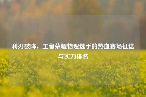 利刃破阵，王者荣耀物理选手的热血赛场征途与实力排名