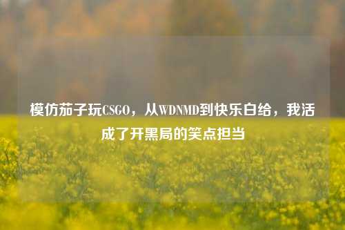 模仿茄子玩CSGO,从WDNMD到快乐白给,我活成了开黑局的笑点担当
