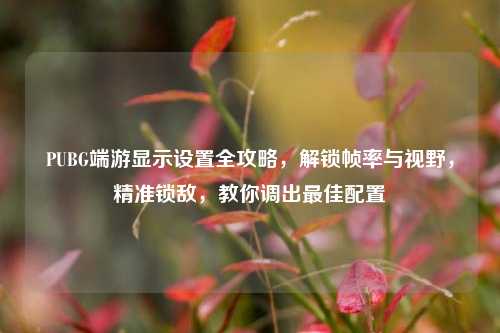 PUBG端游显示设置全攻略,解锁帧率与视野,精准锁敌,教你调出最佳配置