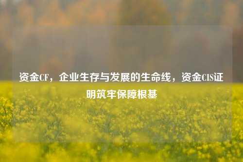 资金CF,企业生存与发展的生命线,资金CIS证明筑牢保障根基