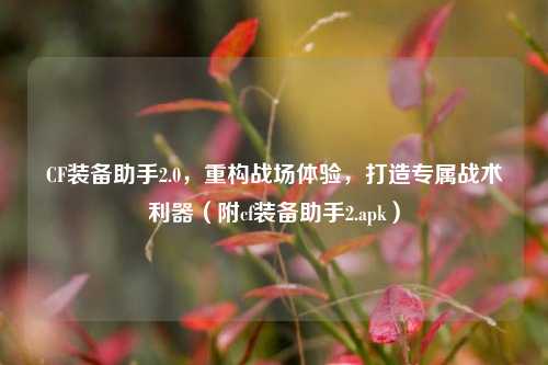 CF装备助手2.0,重构战场体验,打造专属战术利器(附cf装备助手2.apk)