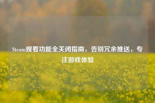 Steam观看功能全关闭指南,告别冗余推送,专注游戏体验
