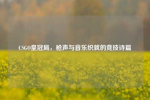CSGO皇冠局,枪声与音乐织就的竞技诗篇