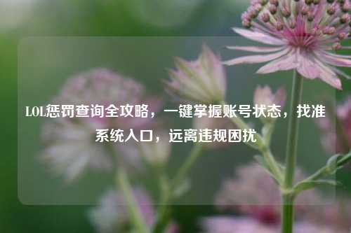 LOL惩罚查询全攻略，一键掌握账号状态，找准系统入口，远离违规困扰