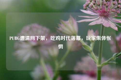 PUBG遭清网下架,吃鸡时代落幕,玩家集体怅惘