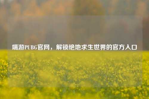 端游PUBG官网，解锁绝地求生世界的官方入口